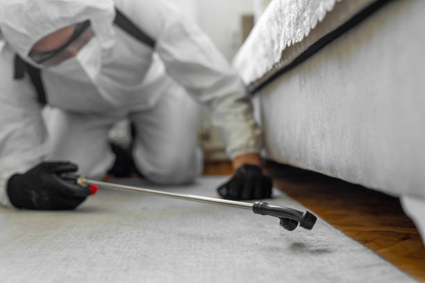 Professional Termite Control technician working in Sibley, IA