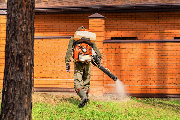 Trusted Termite Control service in Sibley, IA - Nex Pest Control